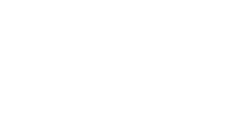 neurita